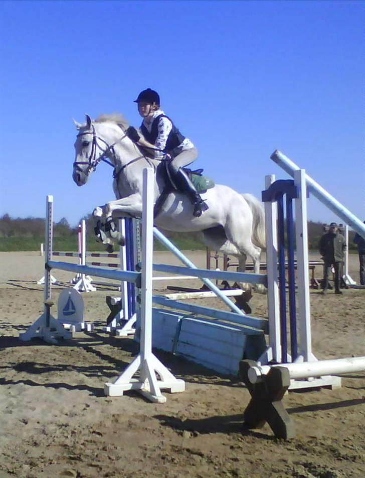 DSP STAR {b-pony} - :D billede 13