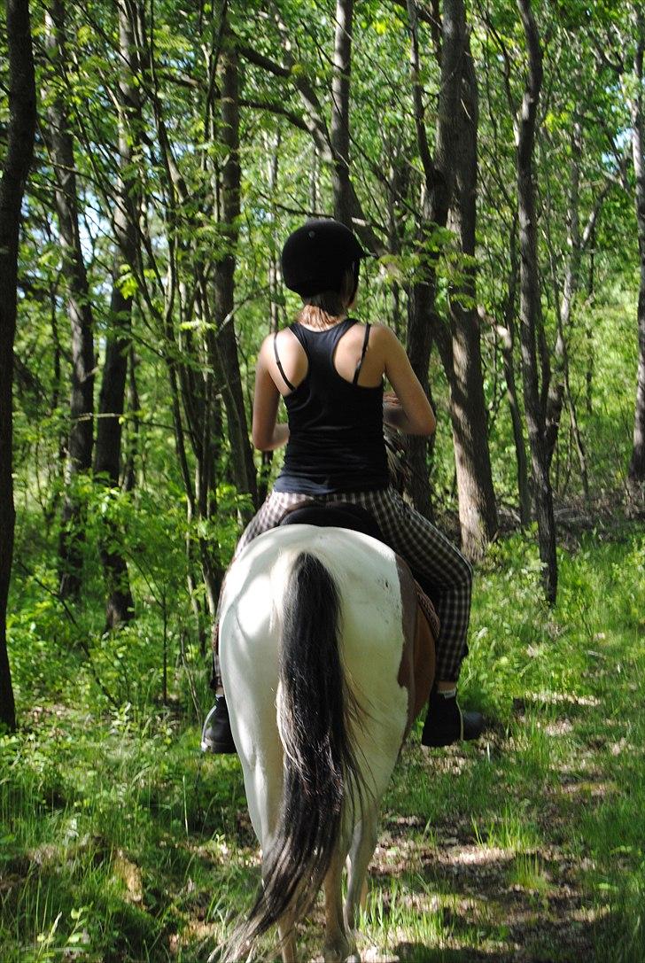 Anden særlig race Marijke - #20 Så smutter vi (; [Foto-Katrine] billede 20