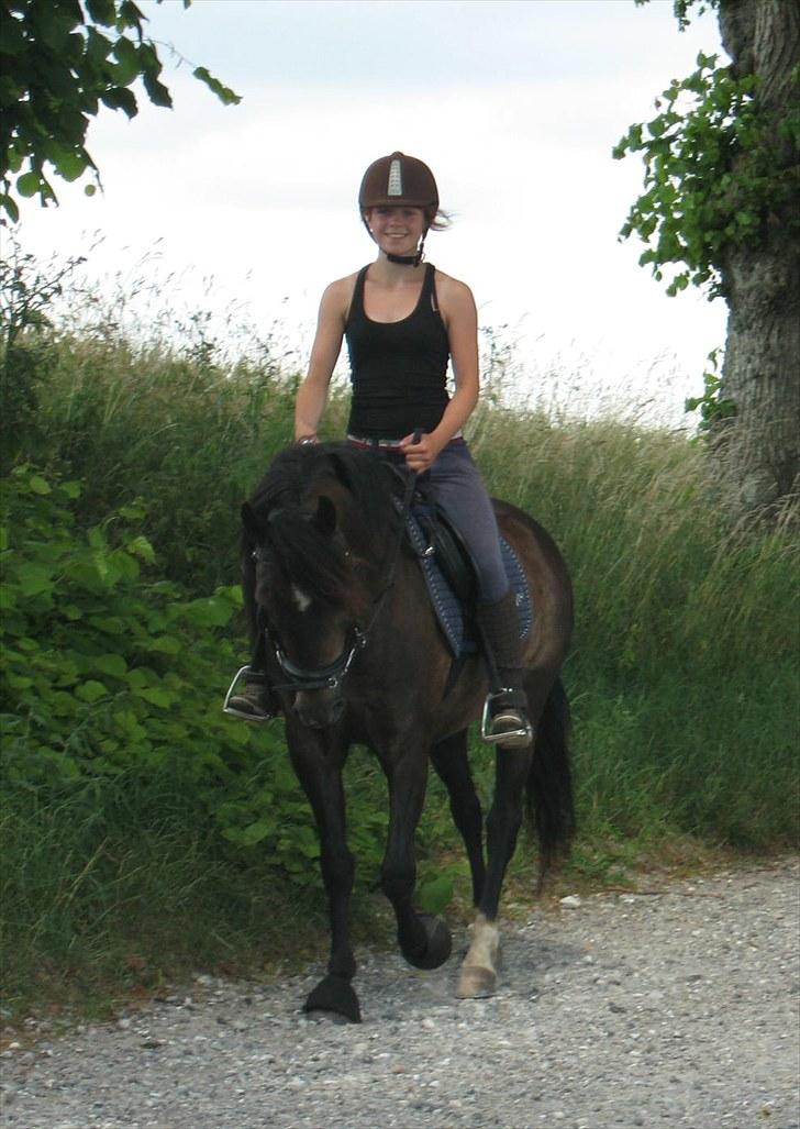 New Forest Bjernagergårds Mischa - På tur billede 13