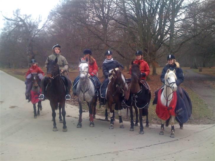 DSP Lady - TIL LIV :) billede 15