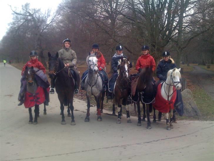 DSP Lady - TIL LIV :) billede 16