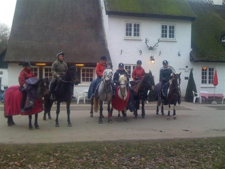 DSP Lady - TIL LIV :) billede 17