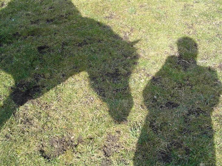 Fjordhest Højgårds Gabby - Gabby og jeg på en lidt anden måde end ellers..... billede 18