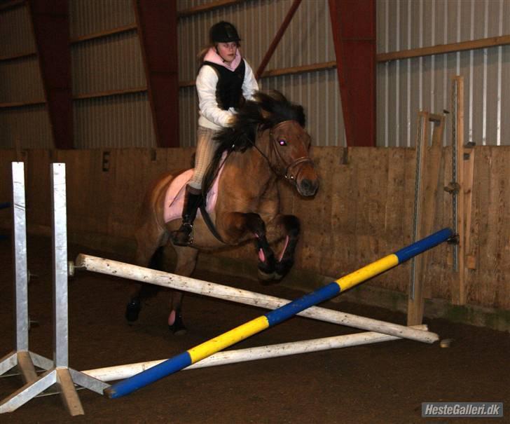 Anden særlig race Muldeberg - Spring, med lyerød :D FOTO: snl billede 19