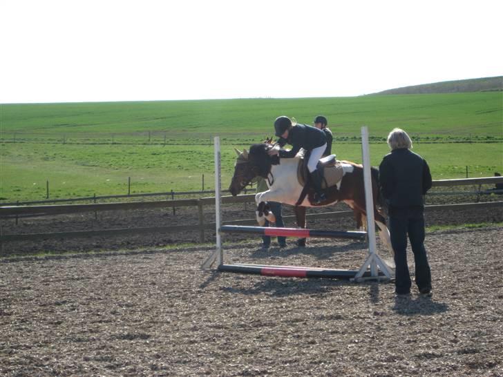 Anden særlig race Klokke Blomst  - wee den bette kan skam springe xD <33 foto: Emma  billede 3