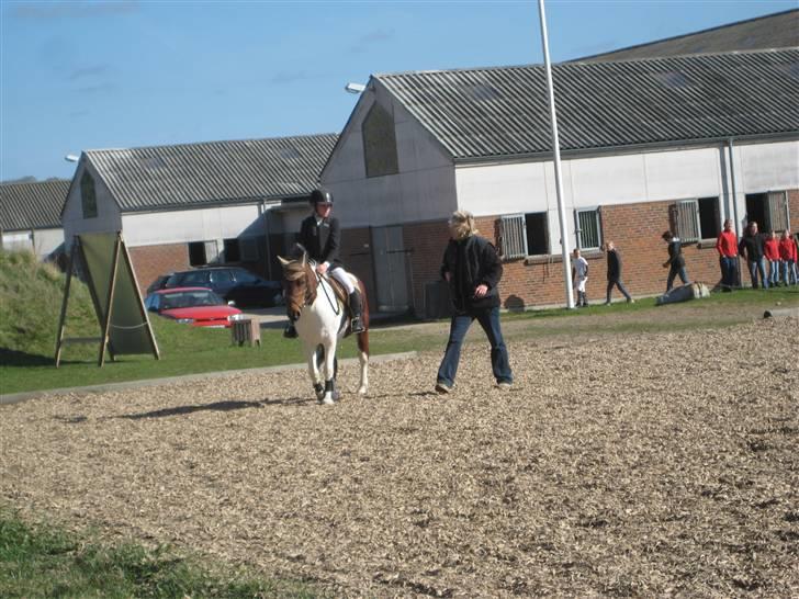 Anden særlig race Klokke Blomst  - tak tik fra momsen xD <33 foto: emss  billede 6