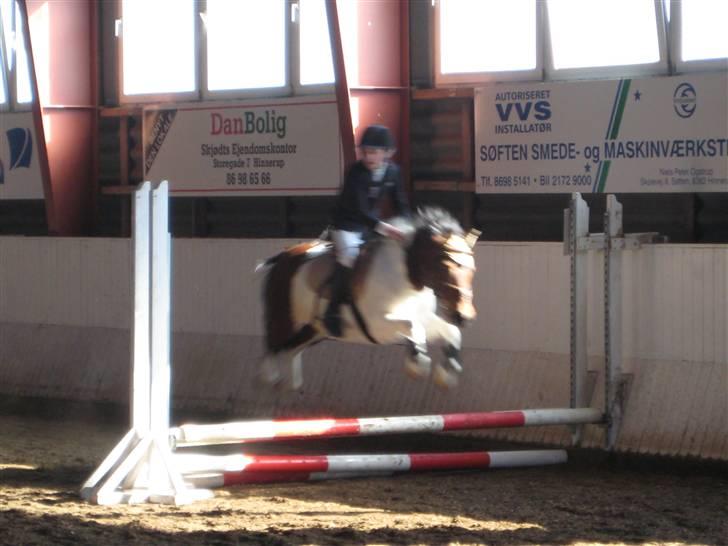 Anden særlig race Klokke Blomst  - Flying Klokke Ö billede 7