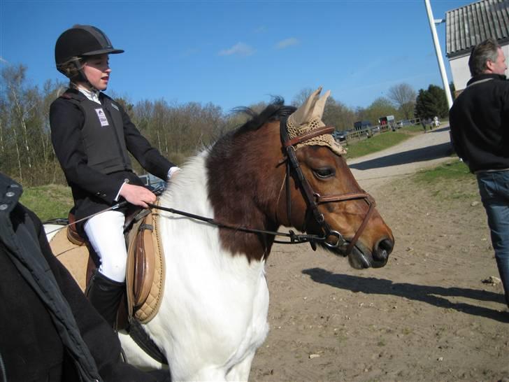 Anden særlig race Klokke Blomst  - Venter spændt :D  billede 8