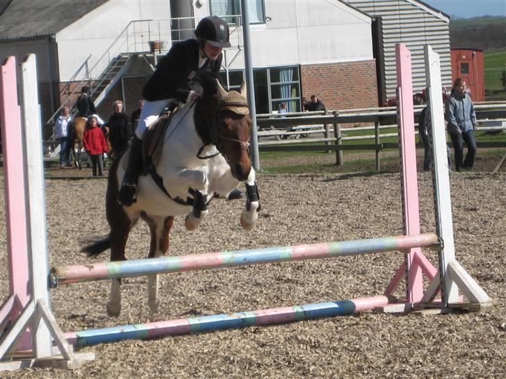 Anden særlig race Klokke Blomst  - opvarmning :D <33 foto: Emma <33 billede 9