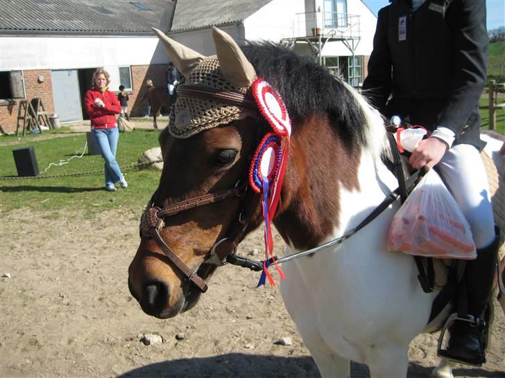 Anden særlig race Klokke Blomst  - uhh to rosetter dygtig klokke :D <33  billede 10
