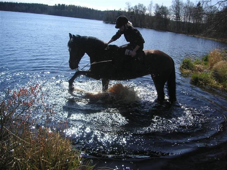 Anden særlig race Vanessa <3   - St. Øksø *-;.<3 så hyggelig dag!:]. Fotograf: Kate H. Jakobsen. billede 20