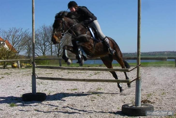 Traver Fame <3 Solgt. - spriiing .. det er fame god til billede 17