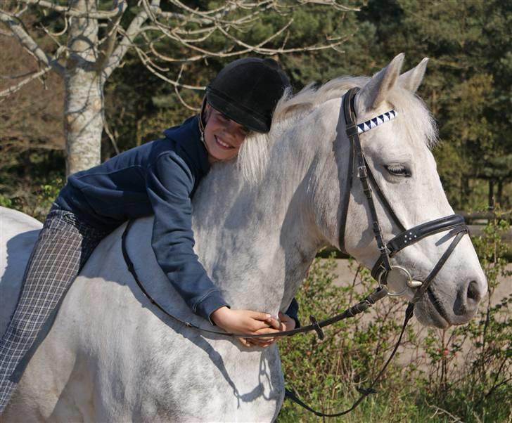 Anden særlig race Silver SOLGT! - Jeg ELSKER min supersild! foto: Tia billede 2