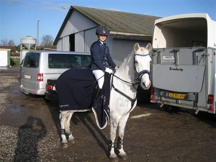 Anden særlig race Silver SOLGT! - Stævne i DRK, vandt Lc<3 foto: min far billede 3
