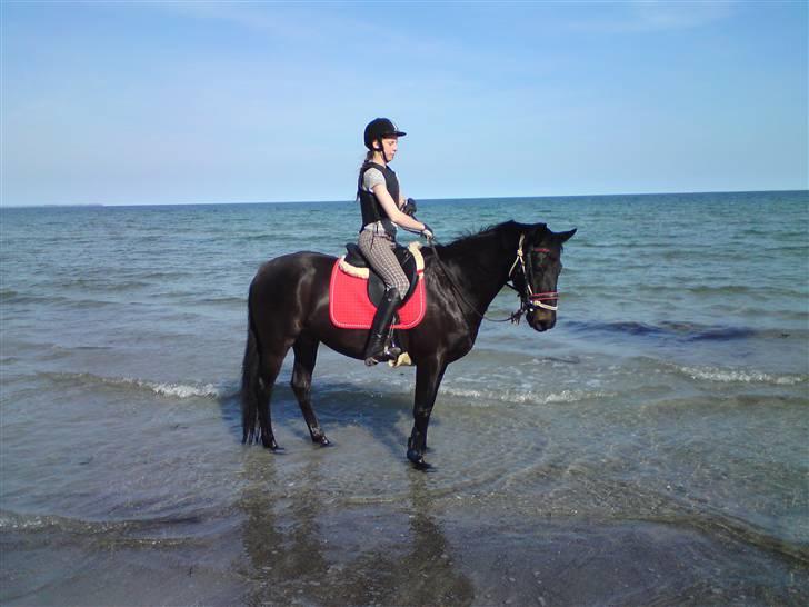 Holstener Caletta SOLGT - calle ude og soppe<33 billede 10
