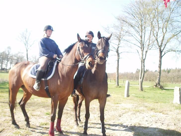 Trakehner Anaconda H RIP - Anaconda på tur med Agacan:) billede 14