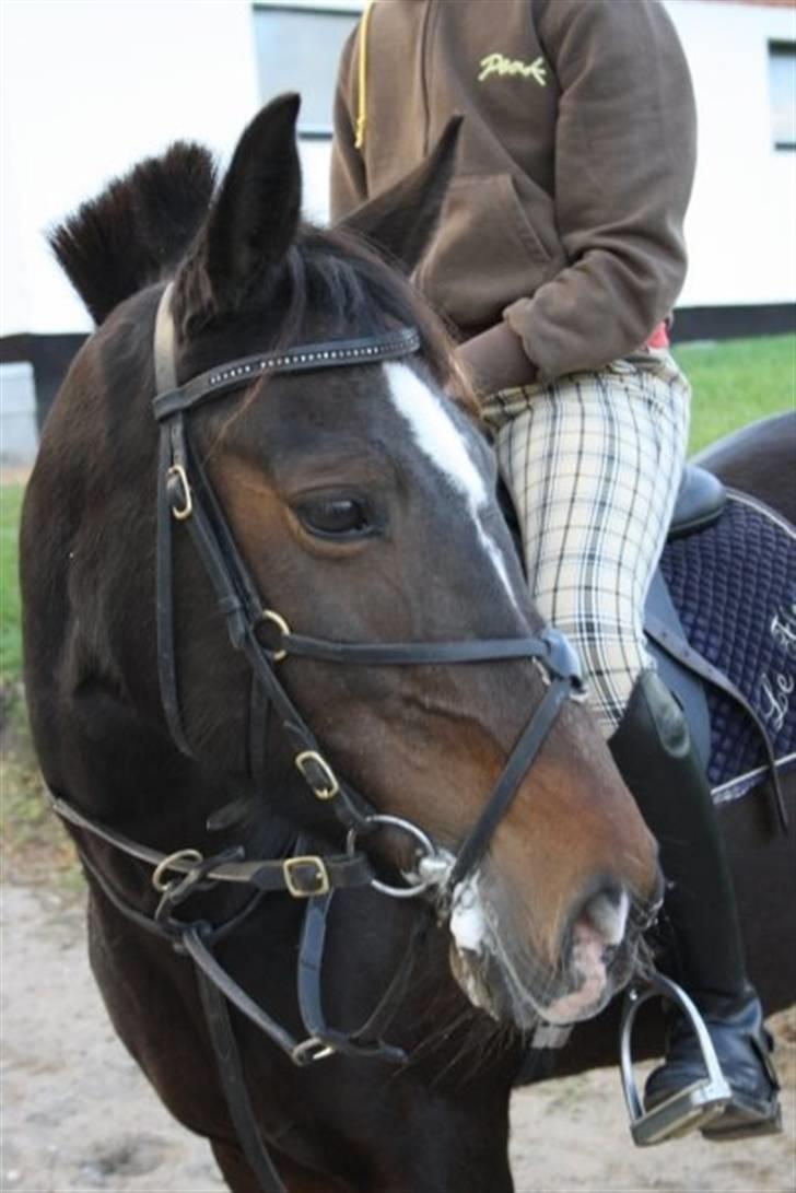 Anden særlig race Le Fleur - 1: Velkommen til Fleurs profil (:  billede 1