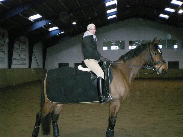 Dansk Varmblod Lorento - Lorento og jeg i hallen på en kold vinter dag. :) billede 9