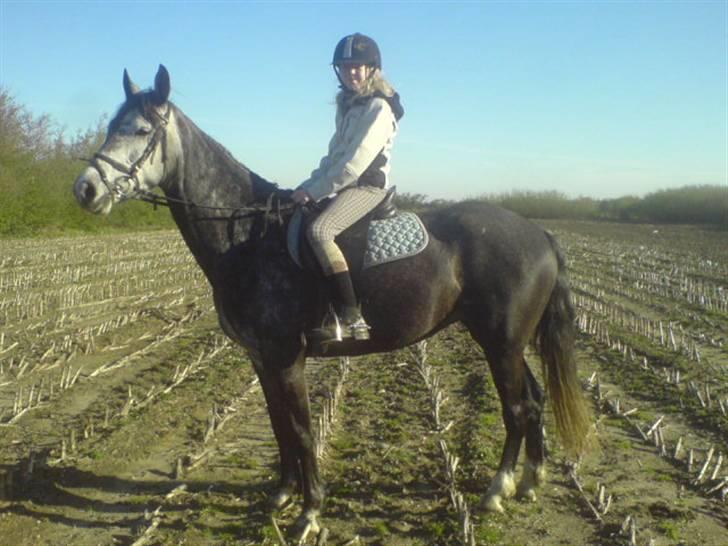 Anden særlig race Blue Silky Walker - Undskyld kvalitet. Første gang jeg rider hende herhjemme. :O)<3  Silki tog det helt coolt.Taget af Anne. Kusine. billede 13