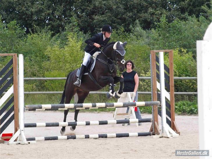 Tysk Sportspony Oleander  - Stævne - Hdr, Lb´ 1 plads .. Mester foto; kathrine bruun  billede 6