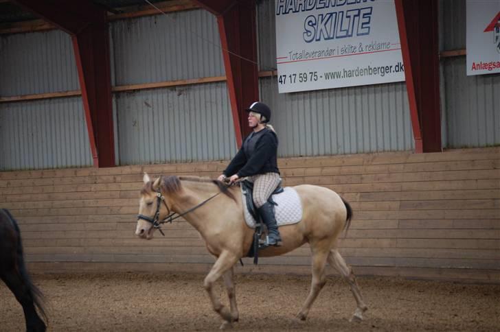 Anden særlig race Shikira R.I.P billede 10