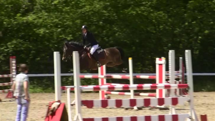 Tysk Sportspony - Anthony  - MB (110cm) 2009 billede 6