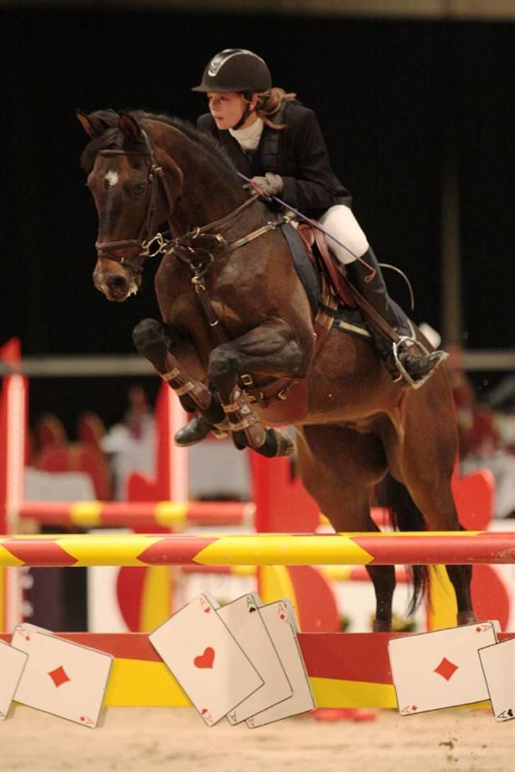 Tysk Sportspony - Anthony  - MA (120cm) JBK efteråret 2008 billede 7