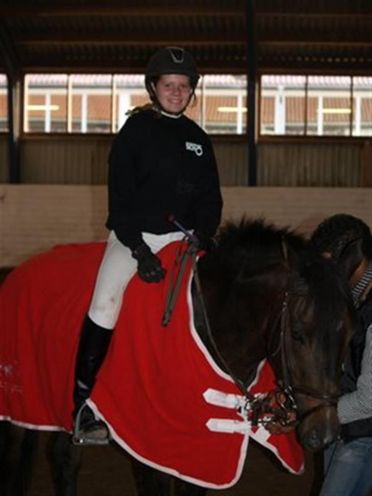 Tysk Sportspony - Anthony  - Fynsmester for hold 2008! billede 10