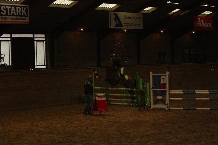 New Forest Simba  - Simba og Trine på Fynsrideklub (LB) Foto: Lene Poulsen. billede 8