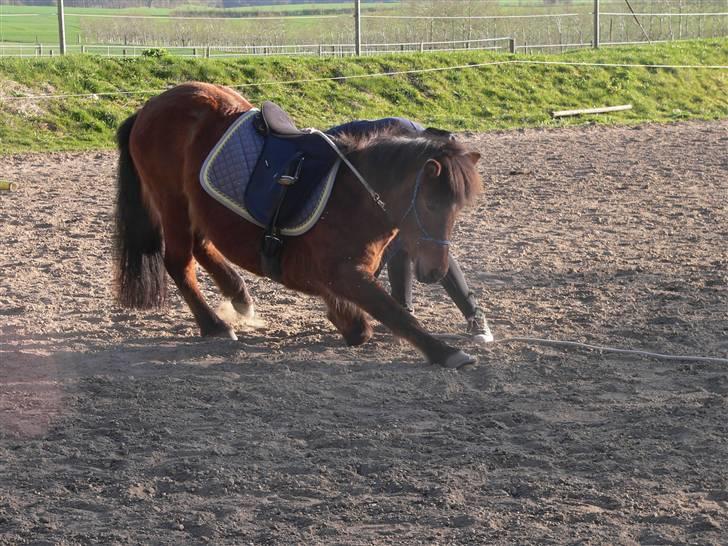 Anden særlig race Kaysa ( SAVNET :'( <'3 ) - Hun er bare så dygtig ! <3 billede 16