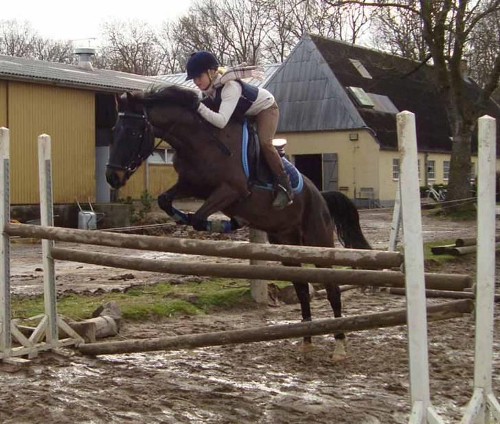 Anden særlig race Prince - Prince og Mona <3 billede 4