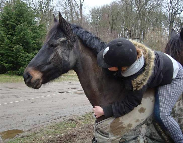 Anden særlig race Prince - Jeg elsker dig!  billede 5