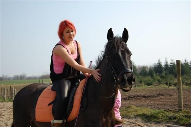 Anden særlig race Prince billede 15