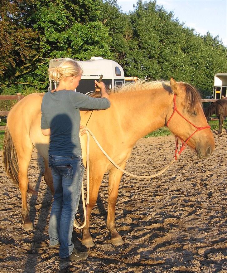 Anden særlig race Cassiopeia *Min Stjerne* - 5// Vi øver at hun skal flytte bagpart hen imod mig :) billede 5