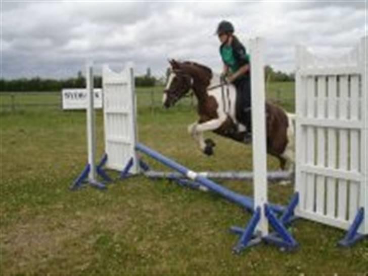 Pinto La-Chris Vesterlund - Så fin han er! (L) billede 20