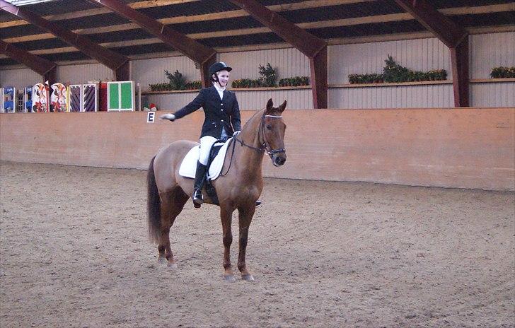 New Forest Simba  - Simba og jeg til distriktstævne i dressur på Hestehavens.  Foto: Ole Hansen.      billede 14