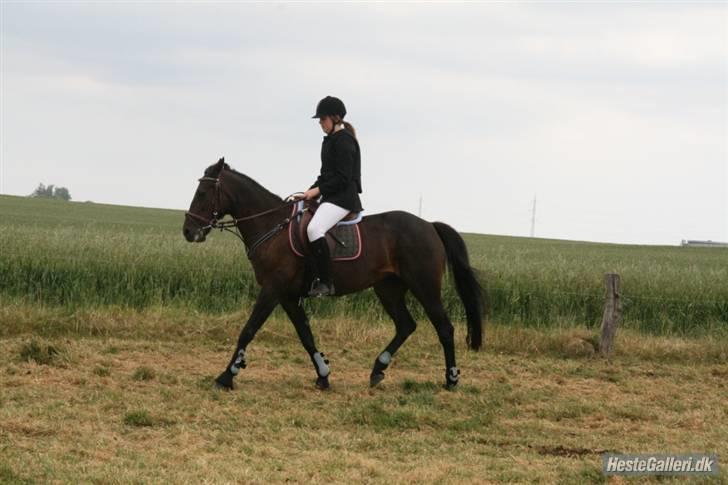 Traver Fame <3 Solgt. billede 19