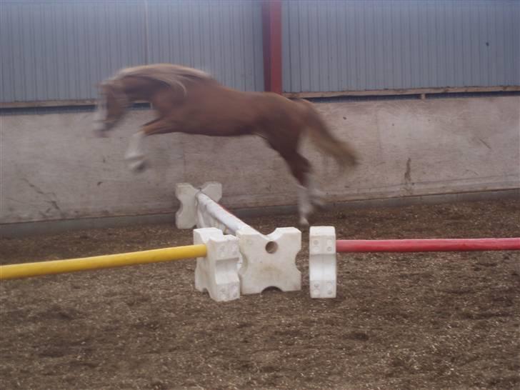 DSP Brandamens Jabari SOLGT - fin stil over en kavaletti <3 billede 15