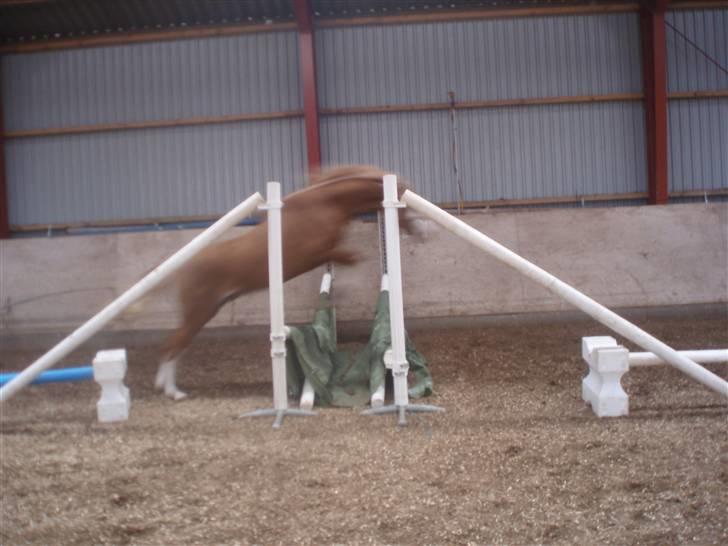 DSP Brandamens Jabari SOLGT - Første gang du var til løsspringning <3 billede 17