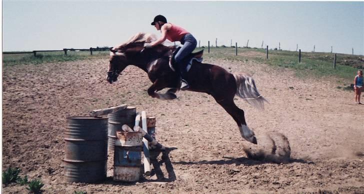 Welsh Cob (sec D) Derwen Two Rivers (R.I.P) - Lille spring;) billede 8