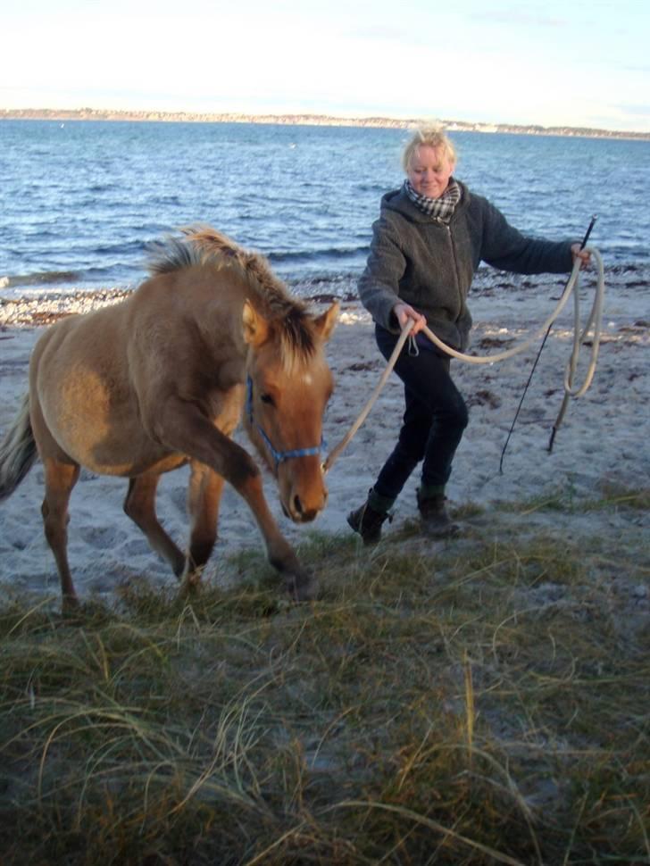 Anden særlig race Cassiopeia *Min Stjerne* - 6// :D ... Billede; Michella billede 6