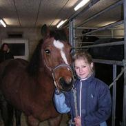 Anden særlig race Laika