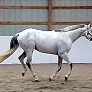 Anden særlig race Annabell