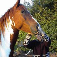 Anden særlig race Martell