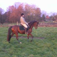 Anden særlig race Farmens Lucky Star 