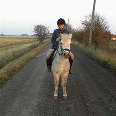 Anden særlig race Bella