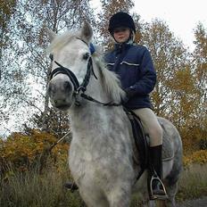 Anden særlig race Bella