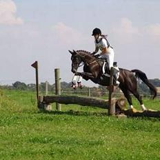 Anden særlig race Menta (tidligere part)