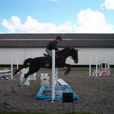 Anden særlig race Menta (tidligere part)