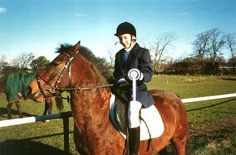 Anden særlig race Mitsi - Nej nu gider jeg ikke stå stille mere bare for det pjat! ;) billede 13